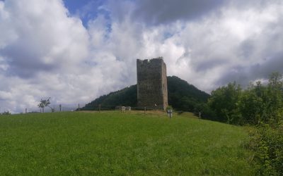 Mise en place d’une clôture à la tour de Montfallet