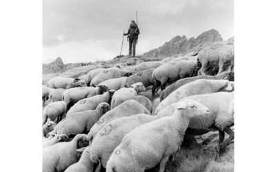 Exposition « Bergers en Belledonne »