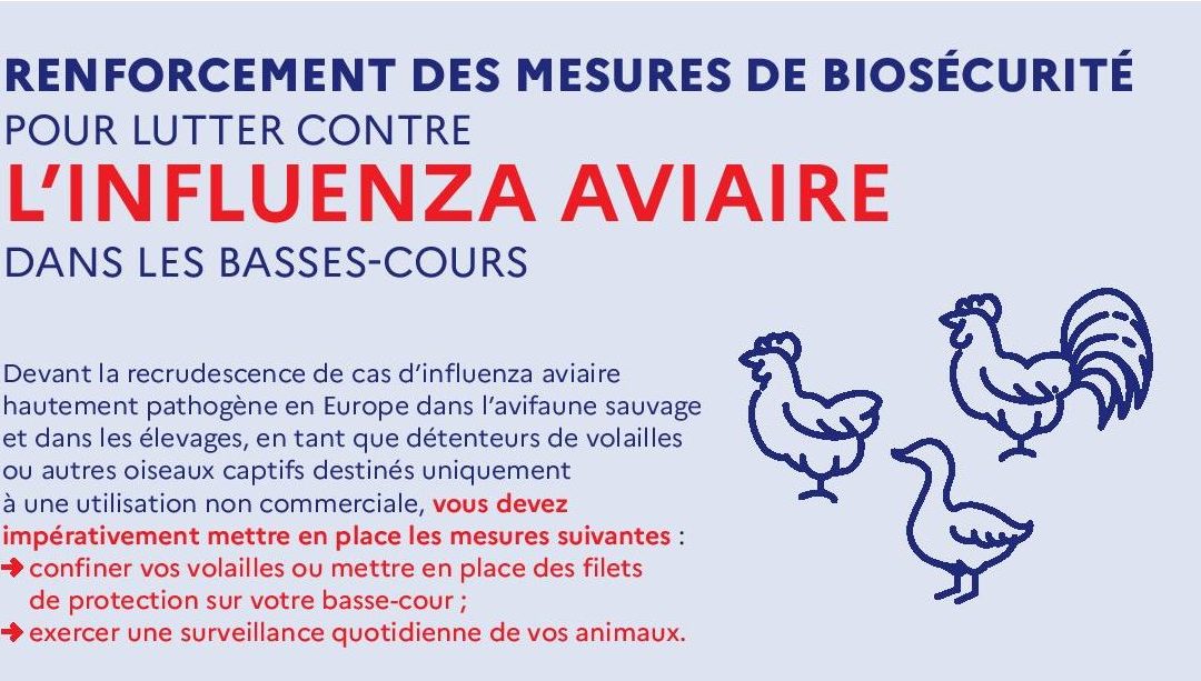 Mesures pour lutter contre l’influenza aviaire