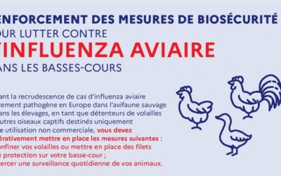 Mesures pour lutter contre l’influenza aviaire