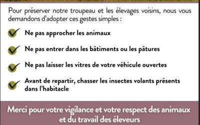 Recommandations dans le cadre de la Dermatose Nodulaire Contagieuse Bovine