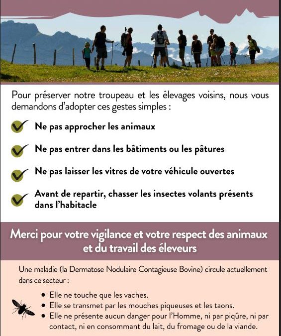 Recommandations dans le cadre de la Dermatose Nodulaire Contagieuse Bovine