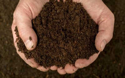 Livraison de compost