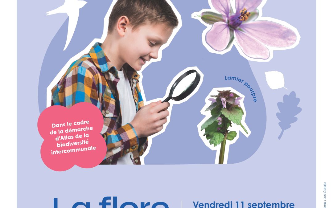Inventaire participatif – La flore urbaine